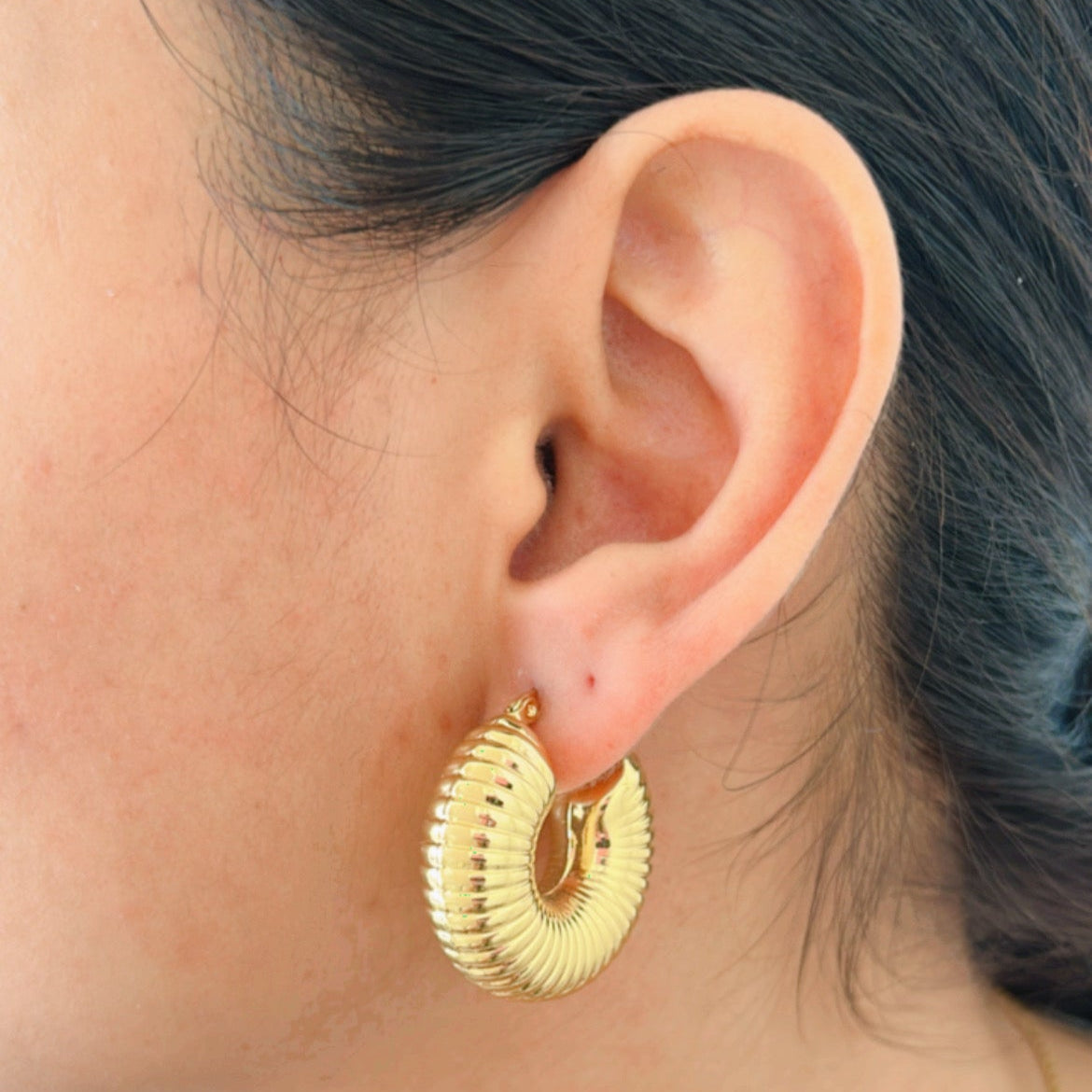 Dazzle Loop Earrings